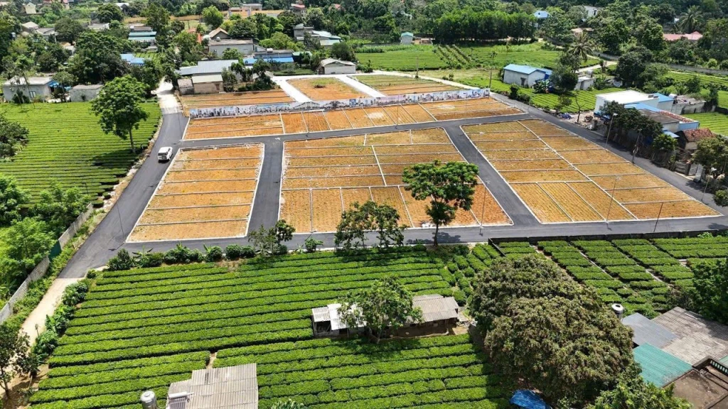 🍀 Chỉ với 400-500 triệu, nhà đầu tư có ngay lô đất diện tích 70-80m² full thổ cư tại xã Tân Lập, huyện Đan Phượng, Hà Nội.
