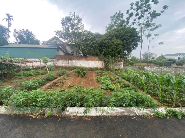 Bán đất 60,2m² tại thôn Sen Trì, xã Bình Yên, huyện Thạch Thất, Hà Nội – vị trí đẹp, tiềm năng tăng giá cao.
