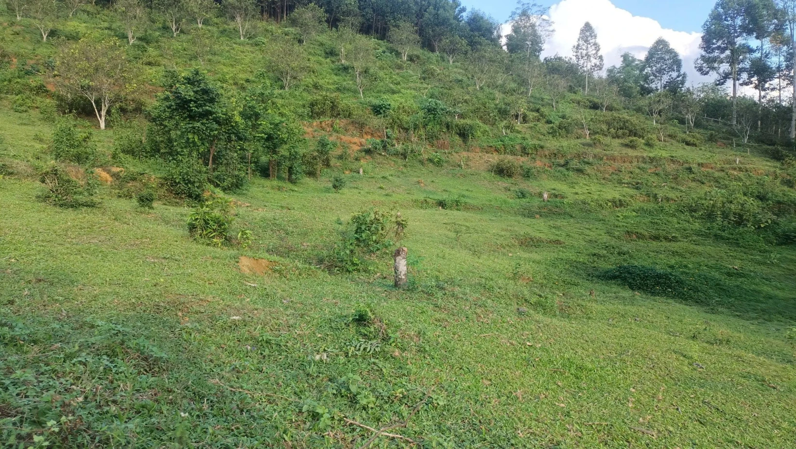 Bán đất nghỉ dưỡng 1,9ha – có 1.100m² thổ cư – View núi cực phẩm tại xã Kim Sơn, huyện Kim Bôi, Hòa Bình