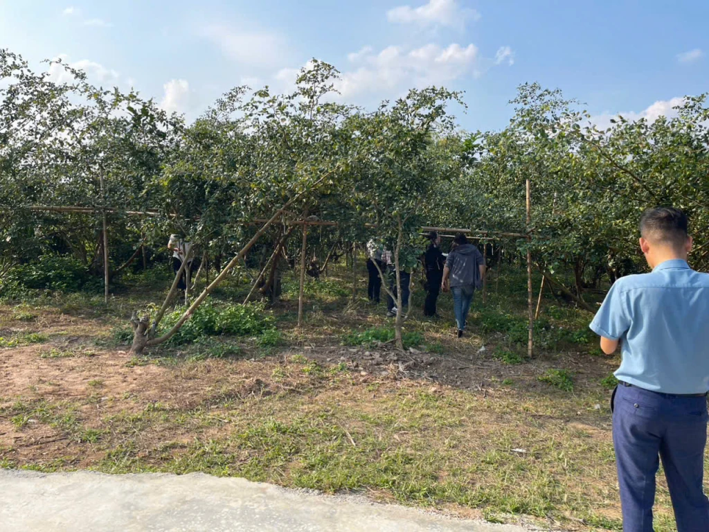 ĐẤT NỀN CHŨ BẮC NINH GIÁ 630 TRIỆU  450M2  KHU DÂN CƯ HIỆN HỮU  Nguyễn Hùng BĐS - 0989333012