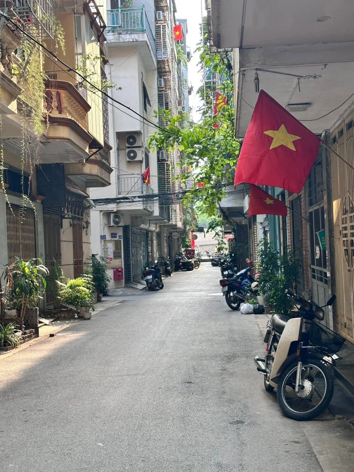 NHÀ NGÕ 1, TRẦN QUỐC HOÀN, CẦU GIẤY-PHÂN LÔ-Ô TÔ-KD: 50/60M X5T, MT 5M, GIÁ 24,5 TỶ