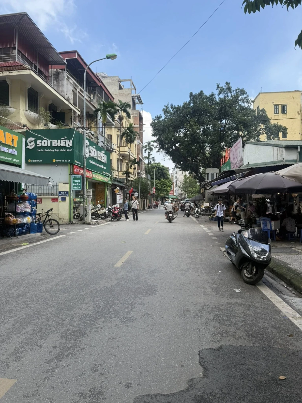MẶT PHỐ,LINH LANG, BA ĐÌNH- VỈA HÈ-KD- Ô TÔ:85M X5T, MT 7M, GIÁ 64,9 TỶ.