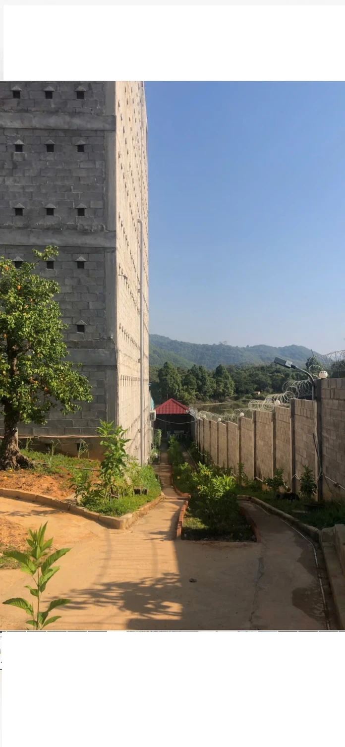 Chính Chủ Bán Nhà Đất Có Sẵn Nhà Yến Diện Tích 1249m² Tại Nam Cát Tiên, Tân Phú, Đồng Nai