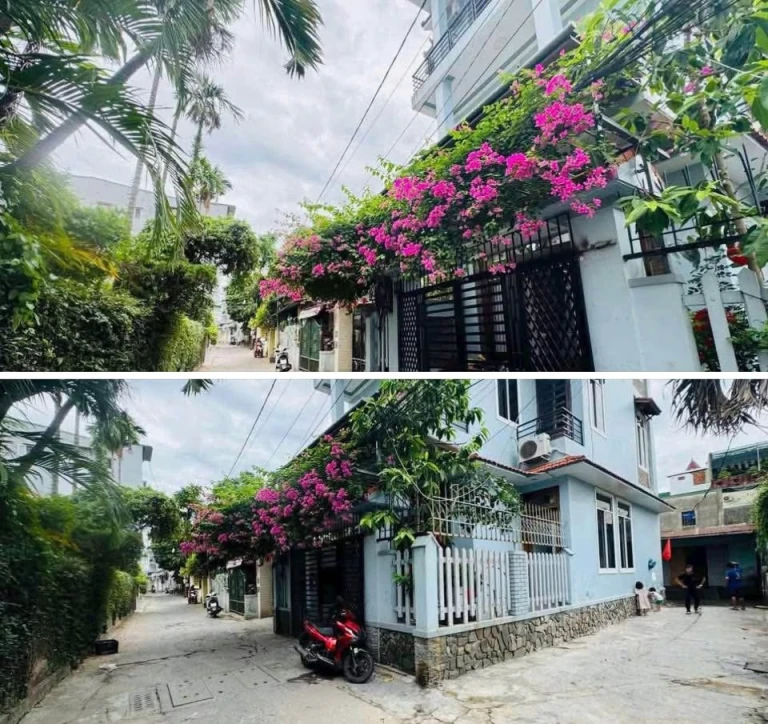 Bán Đất tặng Nhà cấp 4 kiệt 386 Phan Chu Trinh thông 246 Hùng Vương - TP Huế