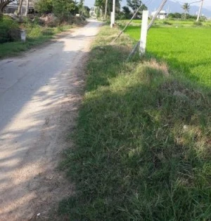 Chính chủ bán đất trồng cây lâu năm xây dựng nhà được giá rẻ 650 triệu LH 0364340843 Này