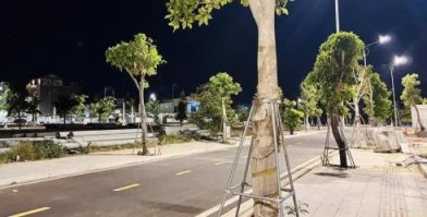 Bán đất nền dự án tại Xã Phước Dinh, Huyện Thuận Nam, Ninh Thuận giá 19 Triệu