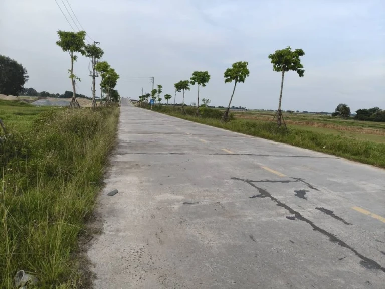 Cần tiên bán nhanh đất mặt đường nguyễn xí thạch xuân