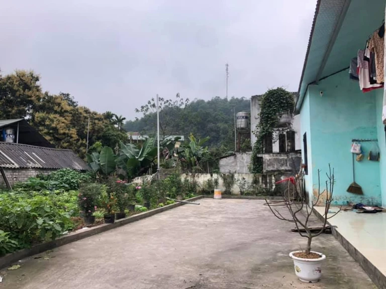 Bán nhà cấp 4 rộng 270m2 toàn bộ đất ở có vườn rộng cam đoan nhà đất chính chủ Ngõ rộng ô tô vào