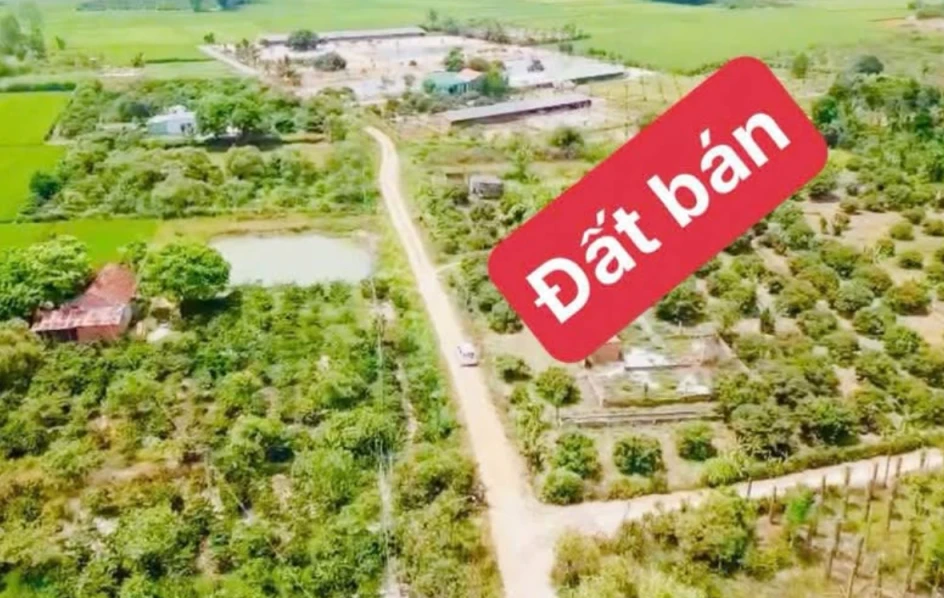 BÁN SIÊU PHẨM ĐẤT VƯỜN – PHÂN LÔ ĐẸP