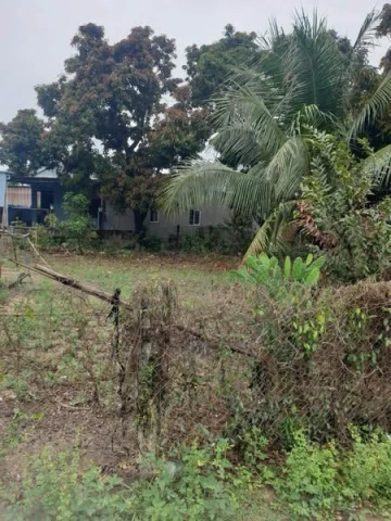 bán đất