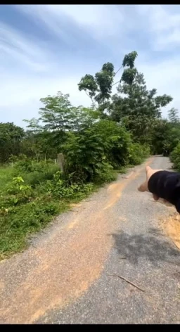 Bên e cần thank  khoản gấp lô đất
