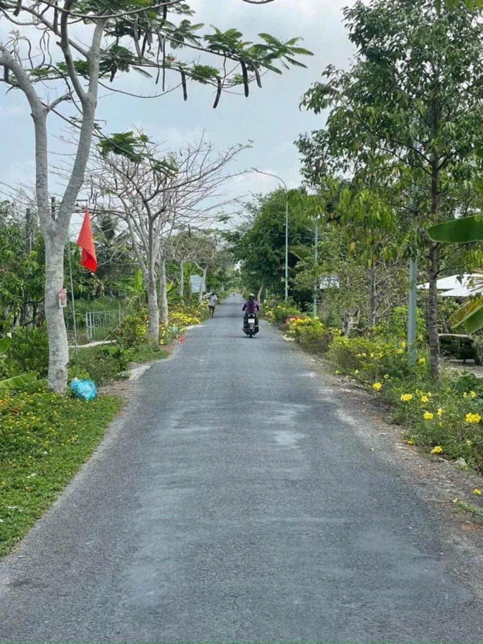 NỀN THỔ CƯ, LỘ NHỰA Ô TÔ