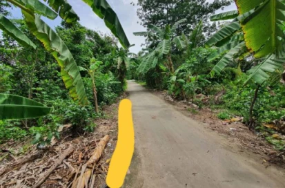 Bán đất CLN, 1064m2 chính chủ, cách chợ Long Thạnh Hậu Giang 1km