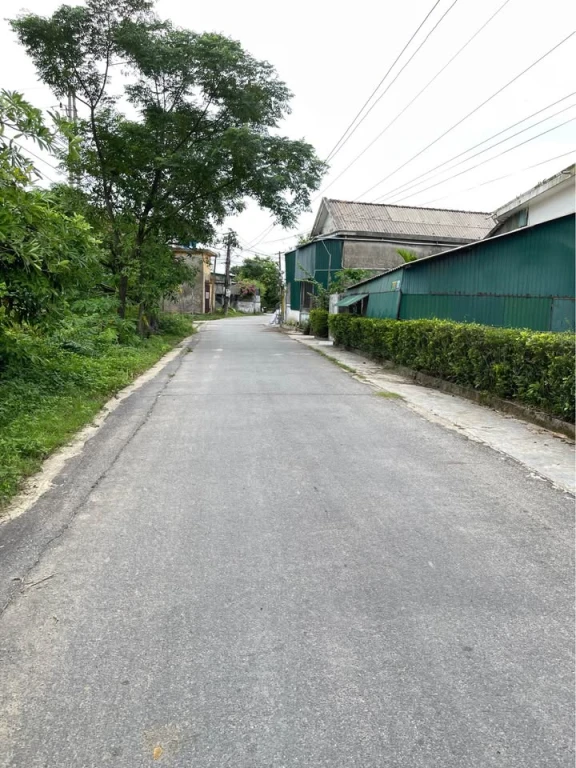 Đất trục chính thôn Liên Thành Cẩm Nhượng