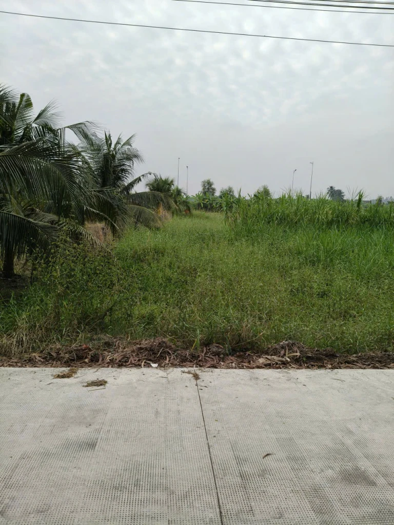 Cần bán lô đất thổ cư mặt tiền đường đan bờ kênh N3, Phường Tân Khánh, Thành Phố Tân An, Long An(Cũ)