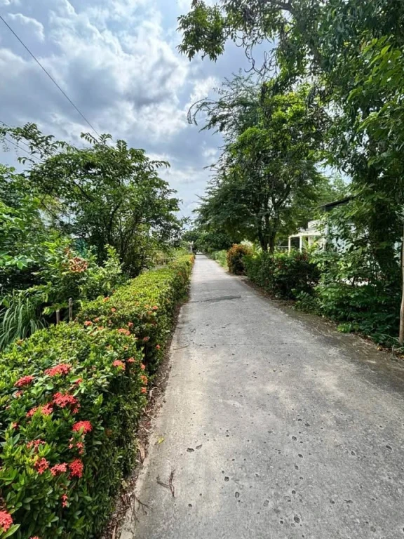 ĐẤT RỘNG CHỈ 480 TRIỆU CÓ THỔ CƯ ẤP 4 XÃ AN XUYÊN CÁCH QL63 2Km