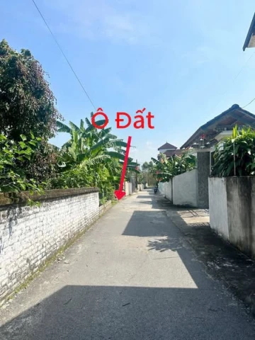bán lô đất