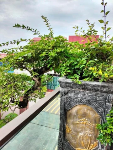 🏡 SIÊU PHẨM BIỆT THỰ LÔ GÓC 3 TẦNG – KĐT HUD Châu Sơn, Phủ Lý 🏡