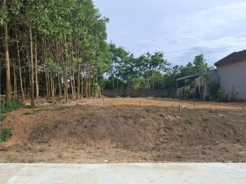 Sẵn bìa hồng 2 lô Lk tại Hợp Tiến -Triệu Sơn (cũ)