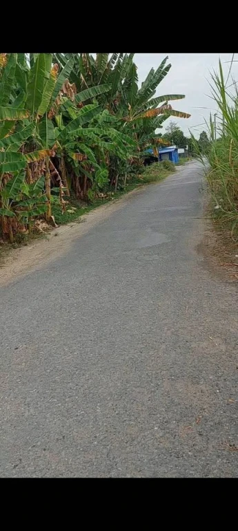 NỀN KDC THỐNG LINH, ĐƯỜNG SỐ 7