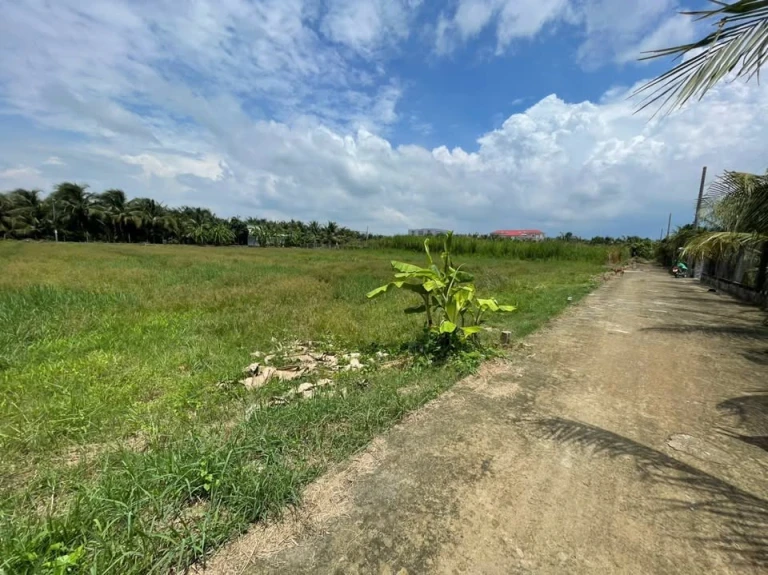 BÁN GẤP – LÔ ĐẤT 175M²