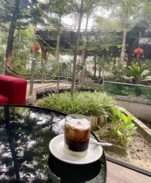 Chuyển nhượng nhà đất Đường tỉnh 311,thị trấn Hạ Hòa,Phú Thọ, hơn 1000m2 chỉ 9,7 tỷ