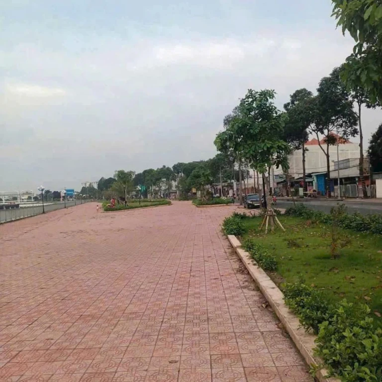 Cc gửi.