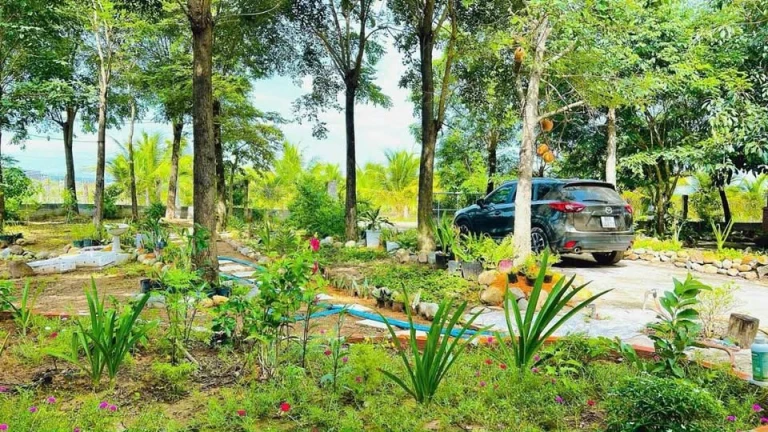 NHÀ VƯỜN STYLE CHO KHÔNG GIAN XANH RÌ  Giáp ranh Thành Phố Phan Thiết & Biển 2km