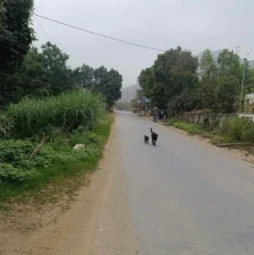 Chính chủ cần bán mảnh đất mặt đường lớn tại Khu Chầm 2, xã Tân Lập, Thanh Sơn, Phú Thọ