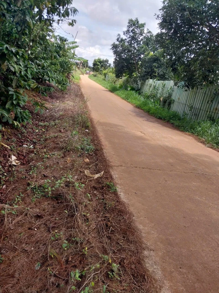 Chủ gửi lô đất bằng như sân bay. Đường bê tông 4m