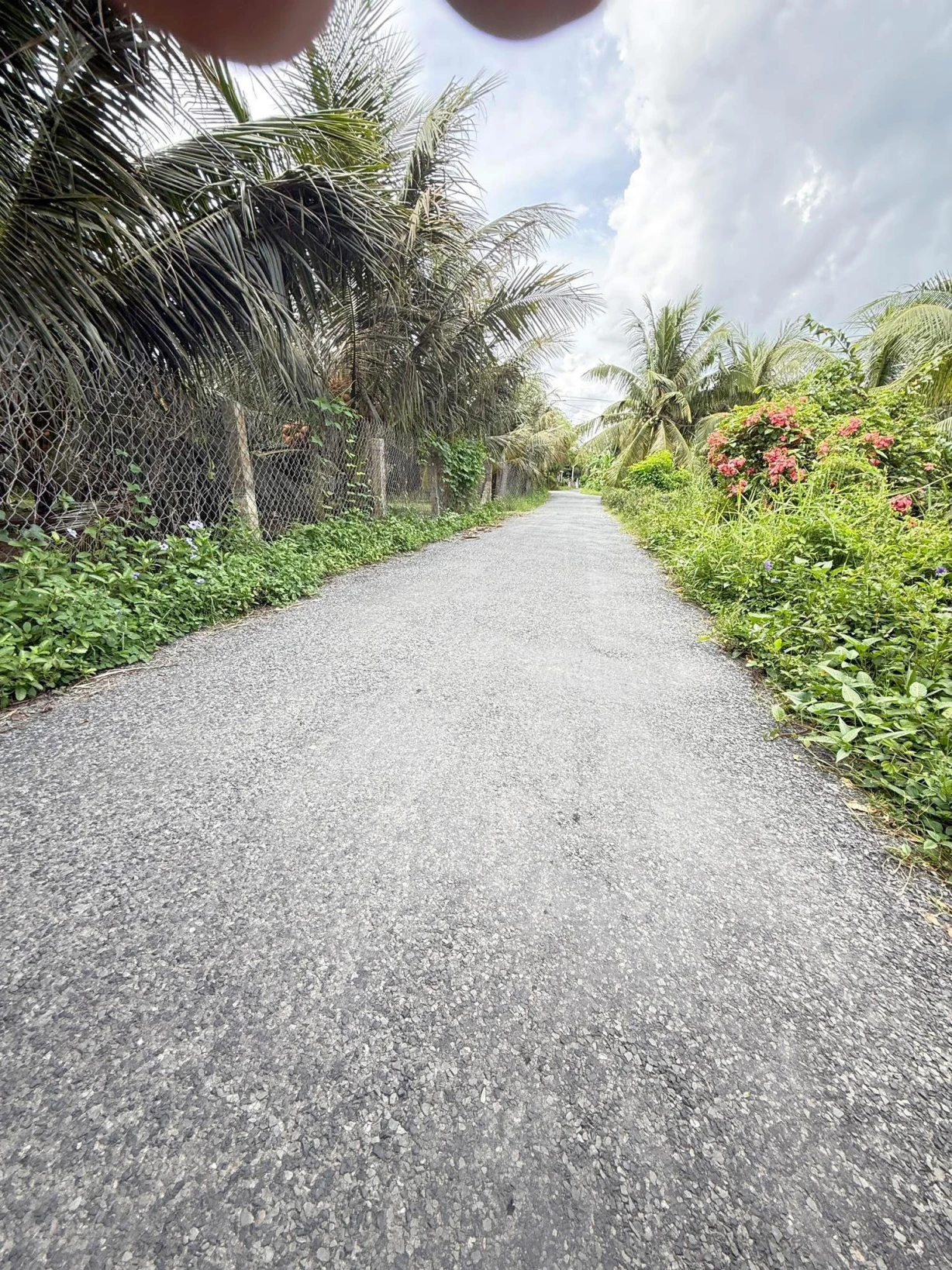Bán #4938m2 đất cây lâu năm. Mặt tiền nhựa đất qua kênh.