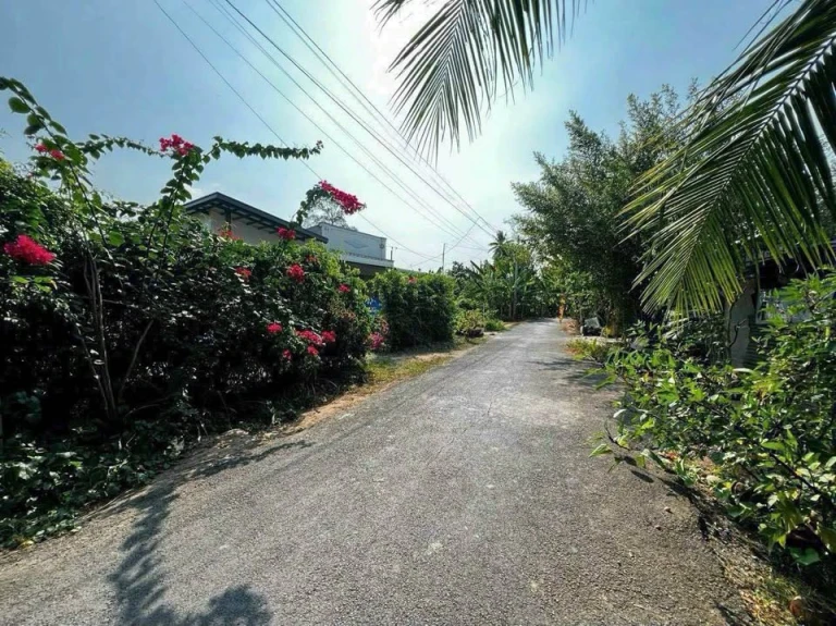 Cần bán gấp nhà và đất phường cao lãnh