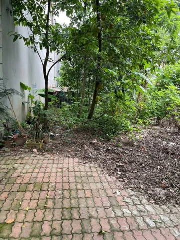 BÁN LÔ GIÃN DÂN VIEW VƯỜN HOA TO – KHẢ LỄ 1