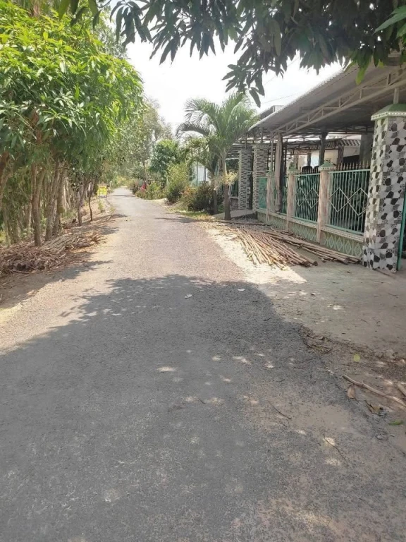 Đất nền đường Bờ Đông Kênh Việt Kiều xã Mỹ Hòa huyện Tháp Mười ĐT, có nhà cấp 4 và vườn dừa phía sau