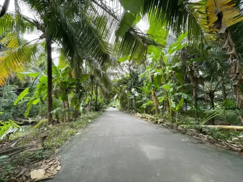 Cắt bán 386m2 vườn view kênh !!!