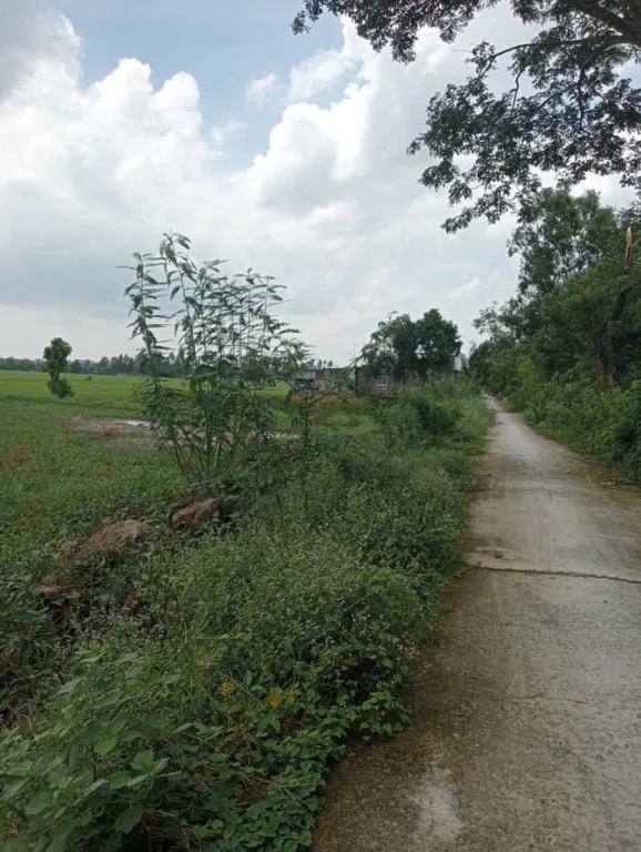299TR NỀN DÀNH CHO CÔNG NHÂN, CNVC MUA ĐẤT XÂY NHÀ.