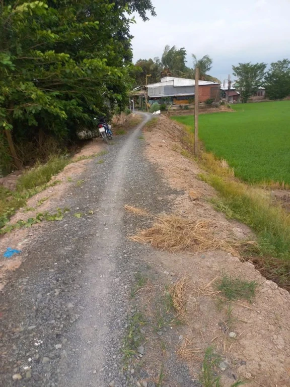 bán đất