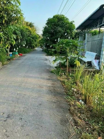 : Bán nền đôi: Đường Kênh Ngang (P3 củ) phường Cao Lãnh Đồng Tháp.