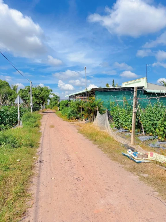 🏡 Cần bán gấp lô đất thổ cư – Ấp Láng, Xã Chà Là, Huyện Dương Minh Châu, Tây Ninh