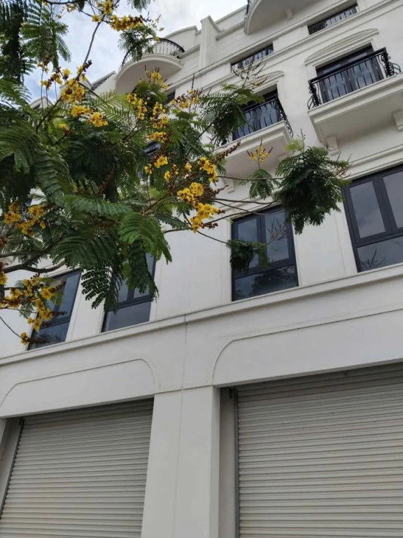 Lô đất vườn thuộc tổ 1 Đề Thám