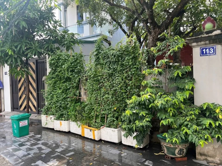 🏡 Bán đất Nguyễn Công Trứ – phường Ninh Phúc, TP Ninh Bình