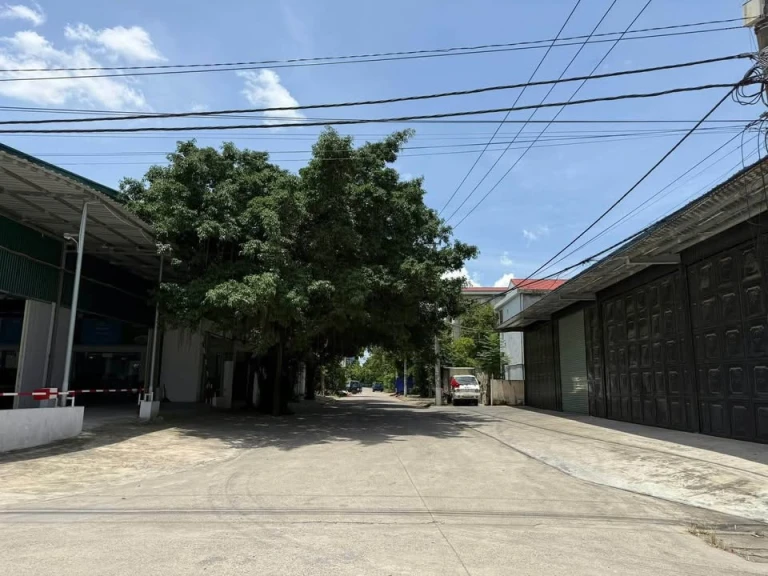 BÁN LÔ ĐẤT ĐẸP PHỐ ĐÔNG SƠN – P. BÍCH ĐÀO, TP. NINH BÌNH