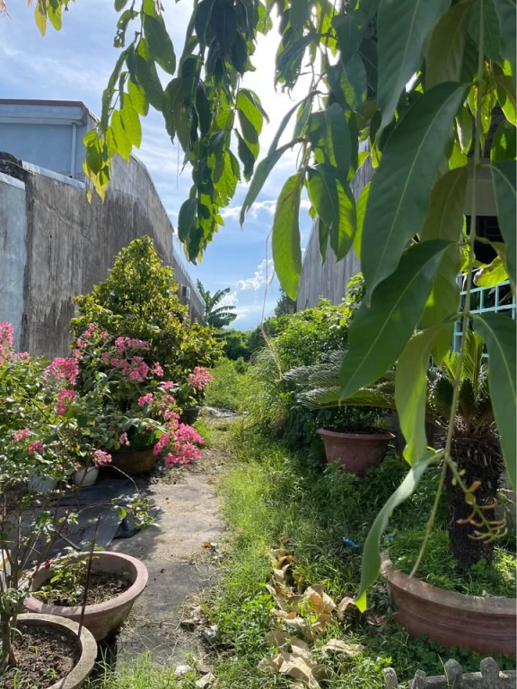 📍 Chính chủ cần bán lô đất tại Thôn Quan Châu, Xã Hòa Châu, TP. Đà Nẵng