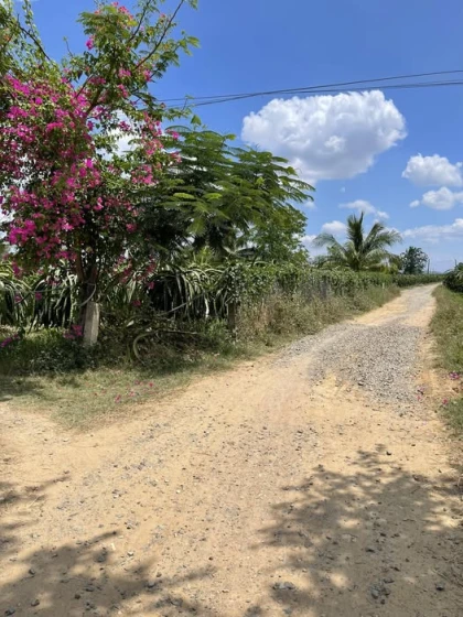 Cần tìm cho khách khoản 2 sào cách Phan Thiết
