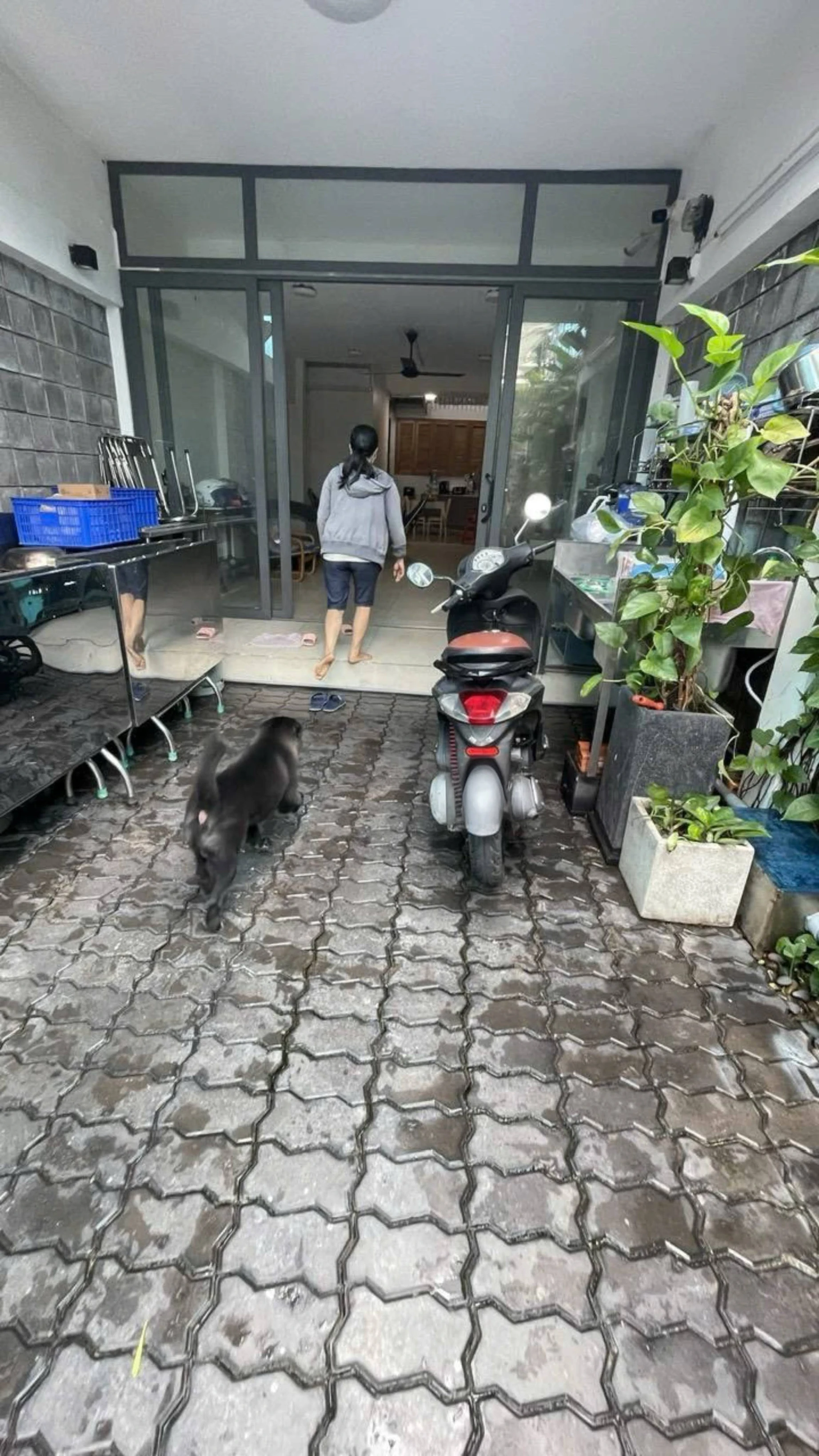 🈴 154m² - CHỈ 22.9 TỶ‼️MẶT TIỀN NGUYỄN VĂN ĐẬU-BÌNH THẠNH -KIẾN TRÚC HIỆN ĐẠI - 2 TẦNG🍀