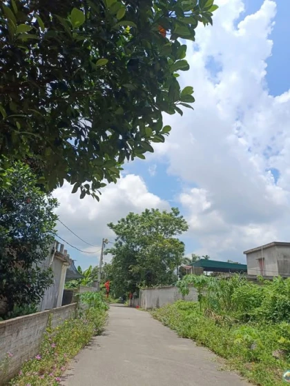 đất phường tam điệp.bám đường nhựa.thông thoáng ace để dành cất két alo e ngay nhé