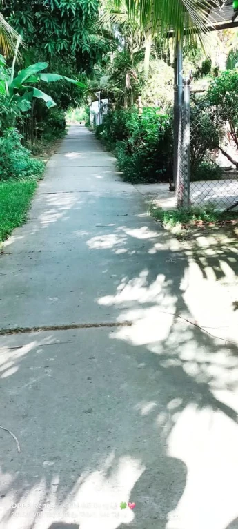 ĐẤT RUỘNG LỘ ĐAL CÁCH CHỢ TRÀ QUÝT - CHÂU THÀNH 2KM.