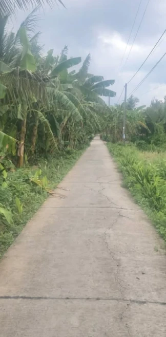 Chỉ hơn 300tr có ngay 1.800m² Đất Vườn..