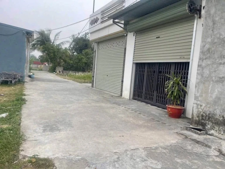Chính chủ bán lô đất sau trường Trần Tất Văn 169m2 ngang 8,2m ngõ ô tô đỗ tận cửa