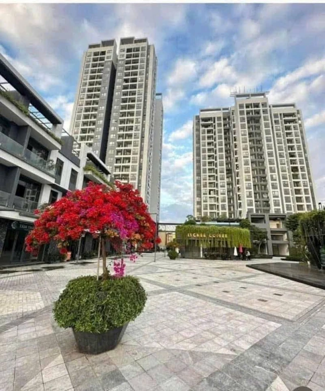 Chính chủ cần bán hoặc cho thuê căn hộ như hình tại cc #Diamond_Hill